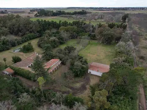 Campo en Venta en Coronel Brandsen, Partido de Brandsen