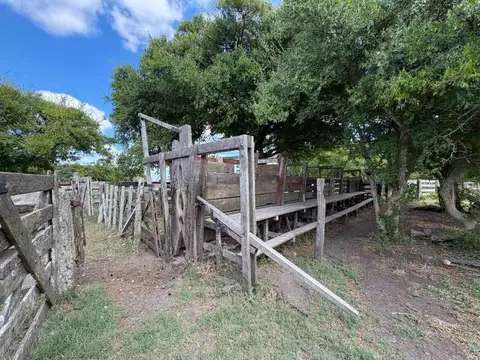Campo en Venta en General Lavalle, Partido de General Lavalle