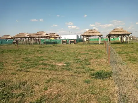 Terreno en Venta en Countries y Barrios Cerrados en General Rodríguez, Partido de General Rodríguez