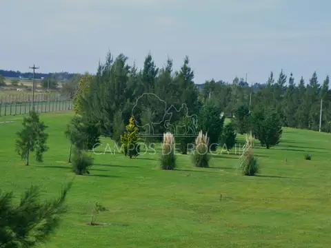 Terreno en Venta en Coronel Brandsen, Partido de Brandsen