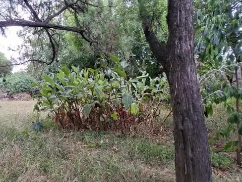Terreno en Venta en 2000 Sur, Moreno