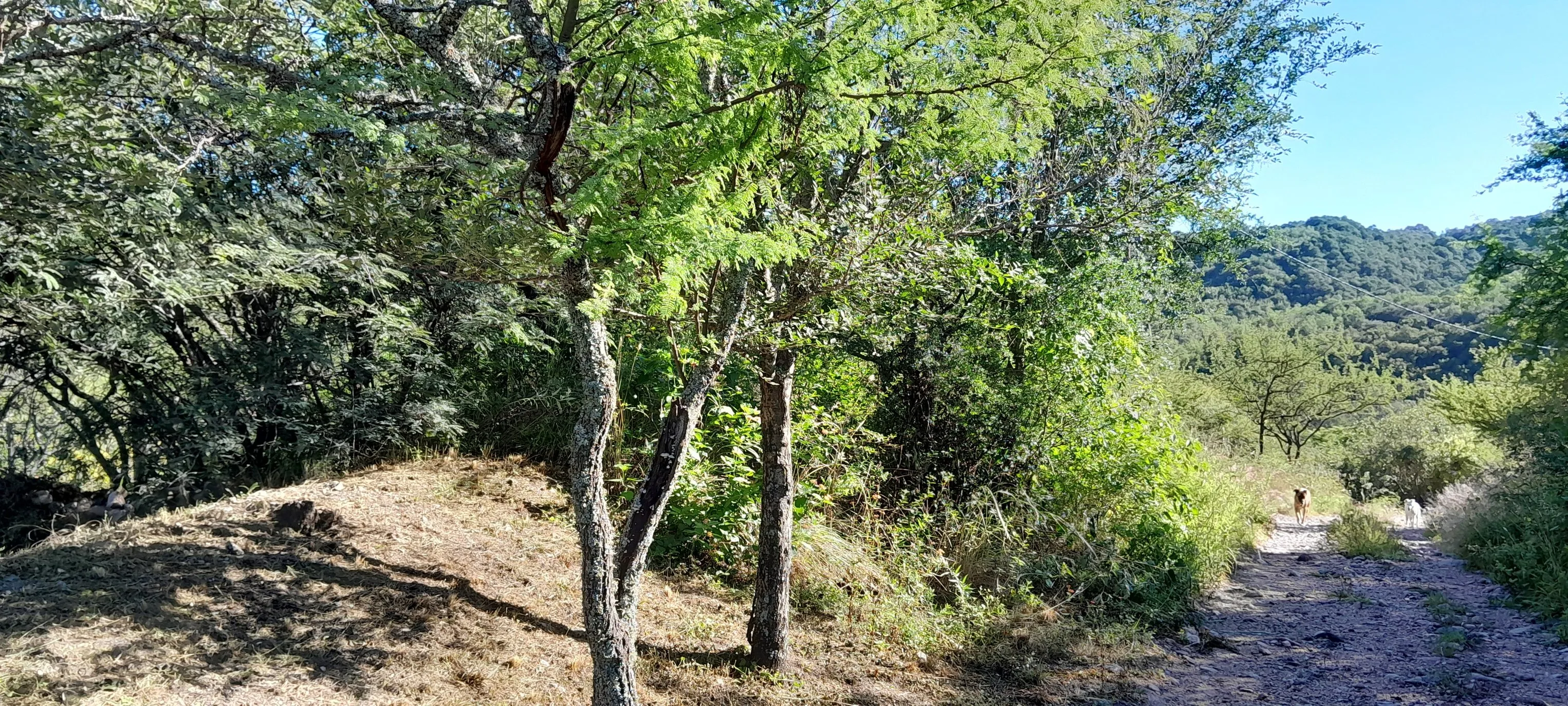 VENDO LOTE 1740MTS2 CON BAJADA AL RIO, LA GRANJA, CORDOBA