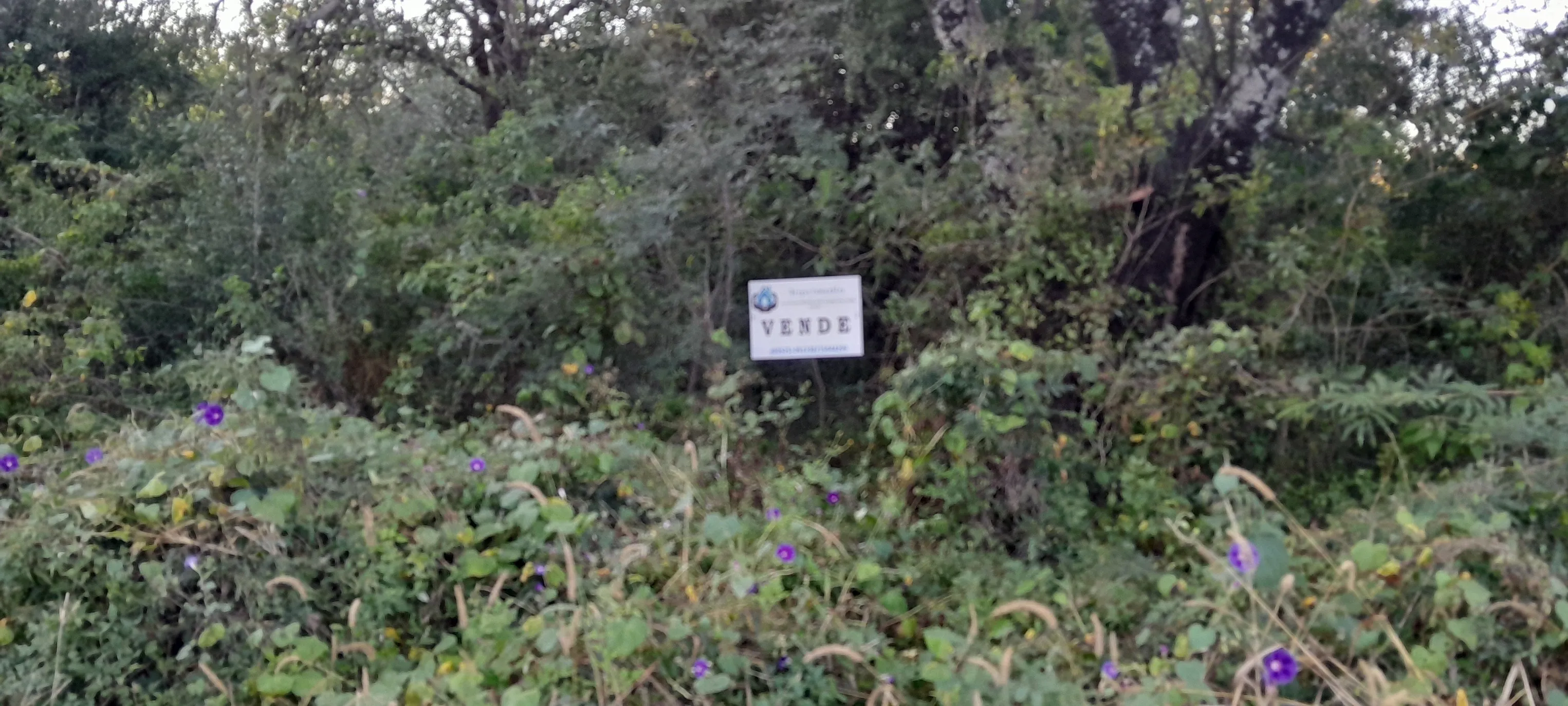 Vendo Lote 1349mts2 en B° Selva Negra, Villa AniMi, La Granja