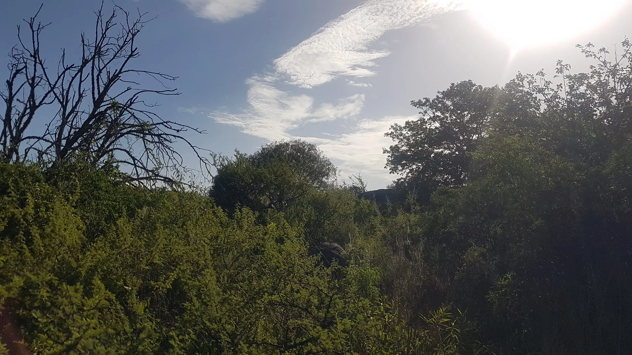 VENDO LOTES EN CORRAL QUEMADO CERCA DEL RIO DE LA GRANJA