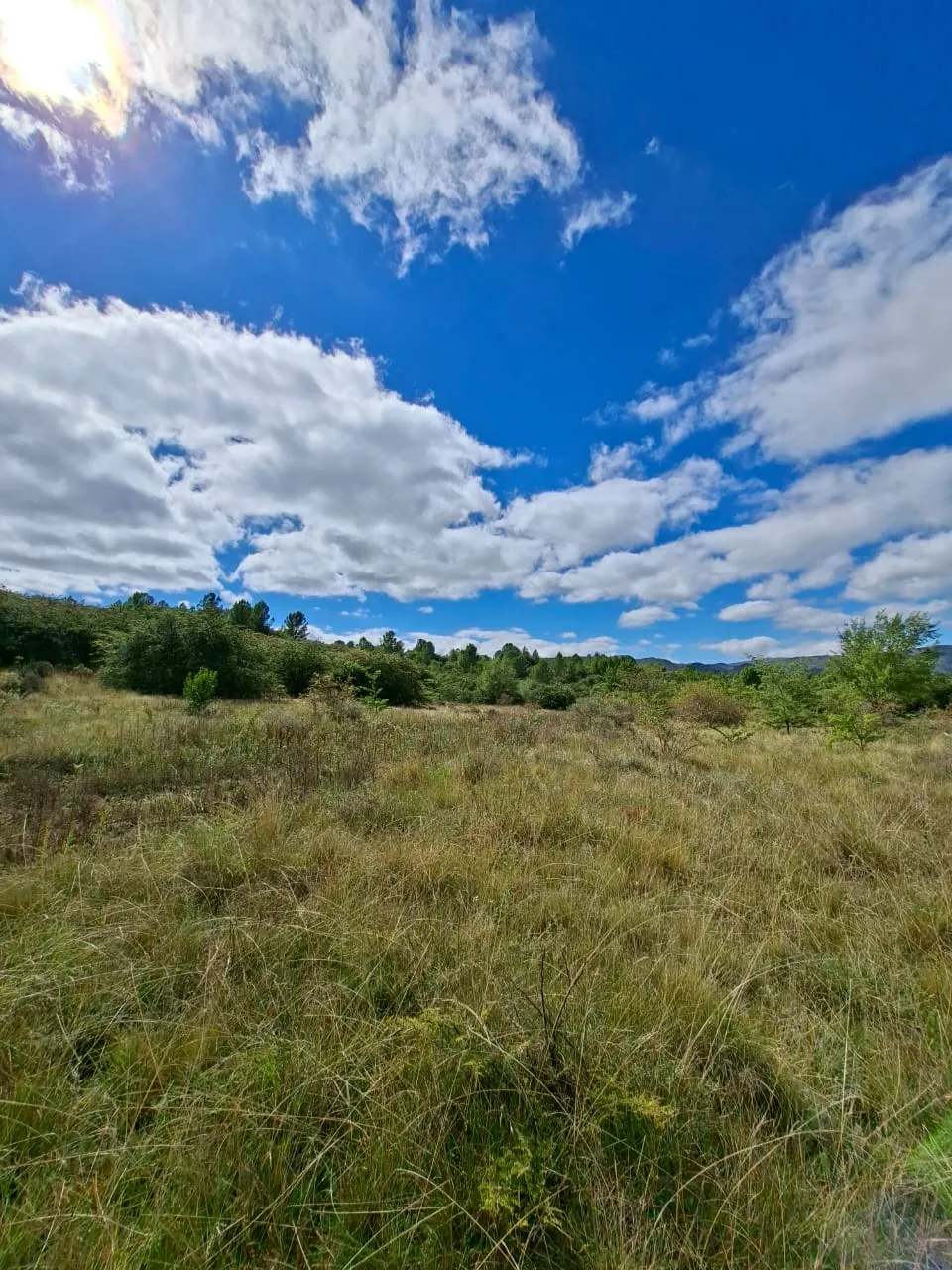 Venta Lote de 8320 m en La Entrada de La Cumbre
