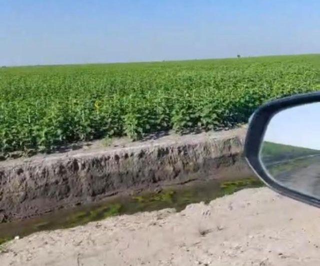 Campo · 6000ha