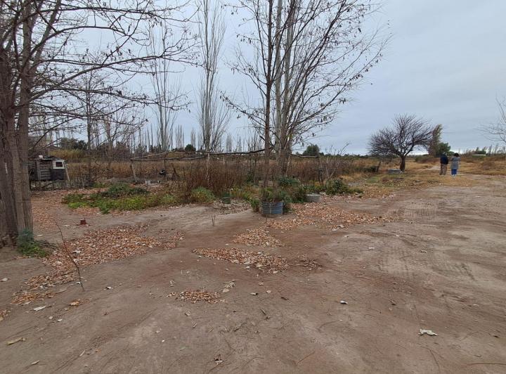 Terreno · 50000m²