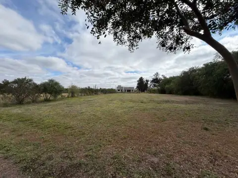 Terreno en Venta en Santo Domingo Robles, Robles