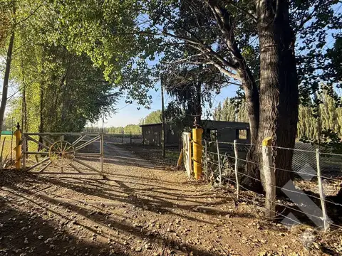 Terreno en Venta en Plottier, Confluencia