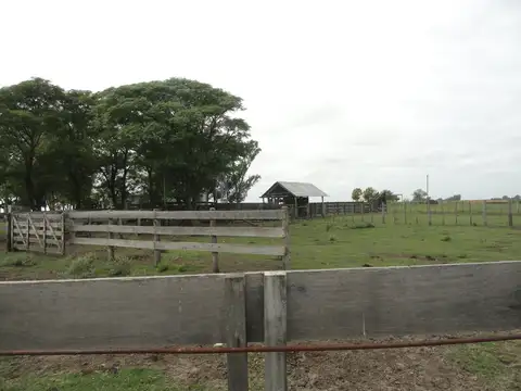 Campo en Venta en Gualeguaychu, Gualeguaychú