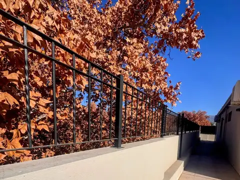 Departamento en Alquiler en Mendoza, Capital