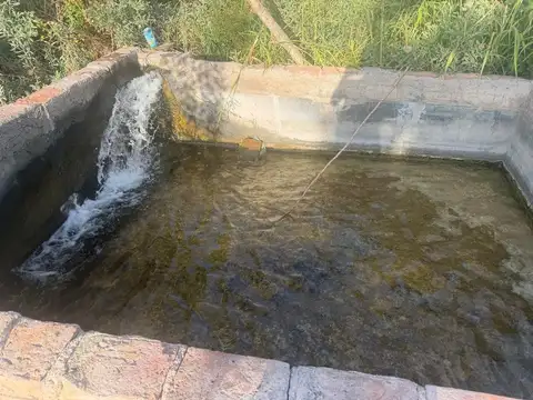 Campo en Venta en Rodeo de la Cruz, Guaymallén