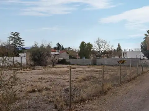Terreno en Venta en Luján de Cuyo, Mendoza