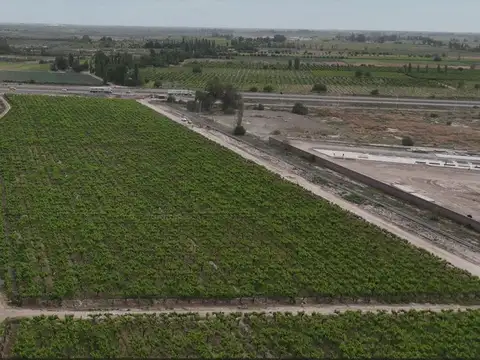 Terreno en Venta en Palmira, San Martín