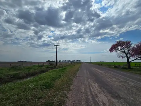 Campo en Venta en La Sarita, General Obligado