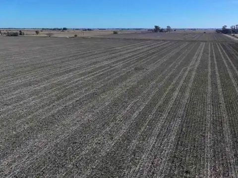 Campo en Venta en Llambi Campbell, La Capital