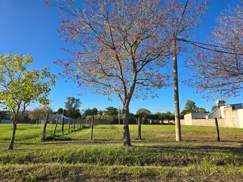 Terreno en Venta en Lanceros Del Sauce, Reconquista