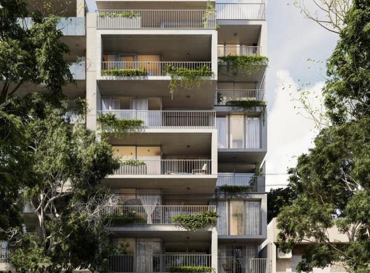 Desarrollo vertical
