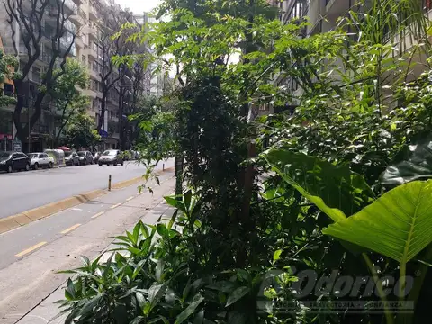 Departamento en Alquiler en Palermo, Capital Federal