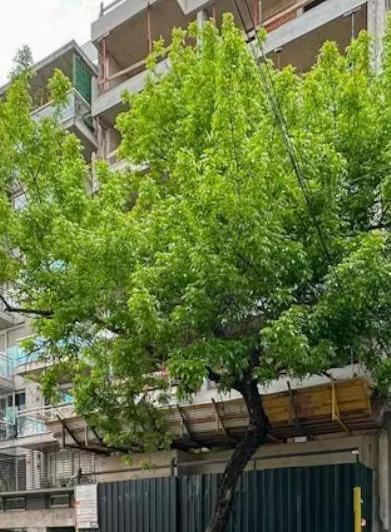 Departamento · 38m² · 1 Ambiente