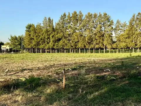 Terreno en Venta en Zapiola, Partido de Lobos