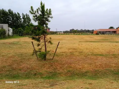 Terreno en Venta en Samborombon, Partido de Brandsen