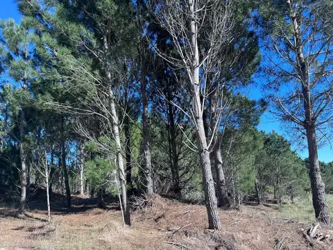 Terreno en Venta en Costa Esmeralda, Partido de La Costa