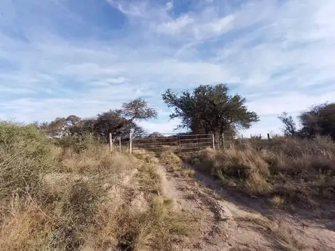 Campo en Venta en Santa Rosa, Capital