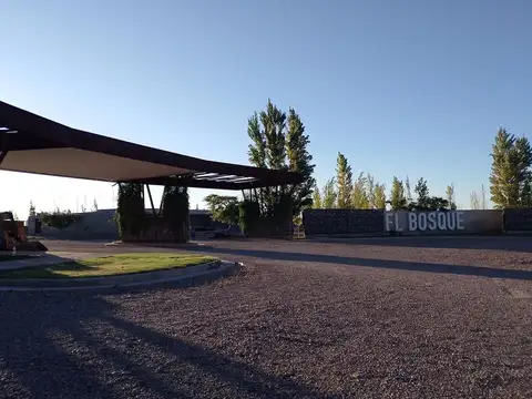Terreno en Venta en Maipú, Mendoza