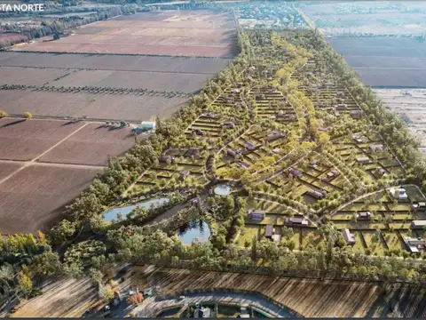 Terreno en Venta en Vistalba, Lujan de Cuyo