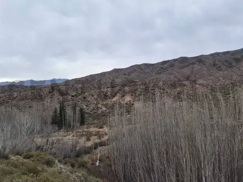 Terreno en Venta en Potretillos, Luján de Cuyo