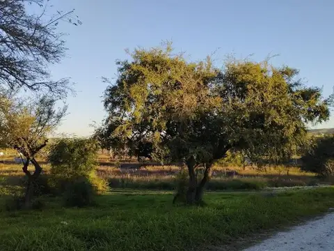 Terreno en Venta en Villa Anisacate, Santa María