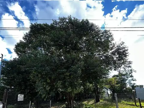 Terreno en Venta en Villa Catalina, Rio Ceballos