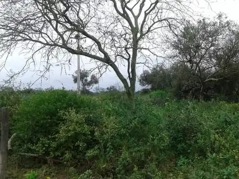 Campo en Venta en Pozo del Tigre, Patino