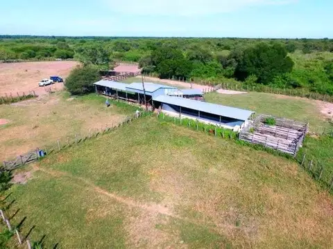 Campo en Venta en Pirane, Pirané