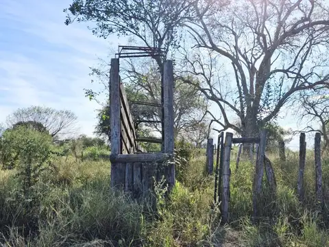 Campo en Venta en Dr E Ramos Mejia Chiriguanos, Bermejo