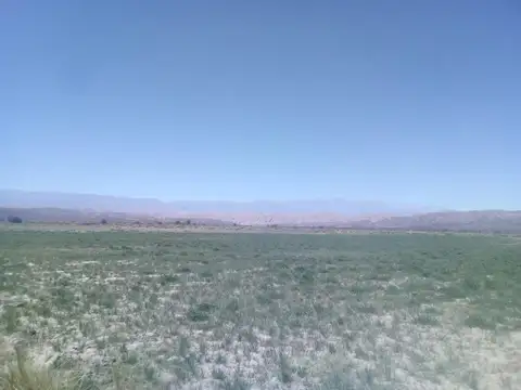 Terreno en Venta en Jague, Vinchina