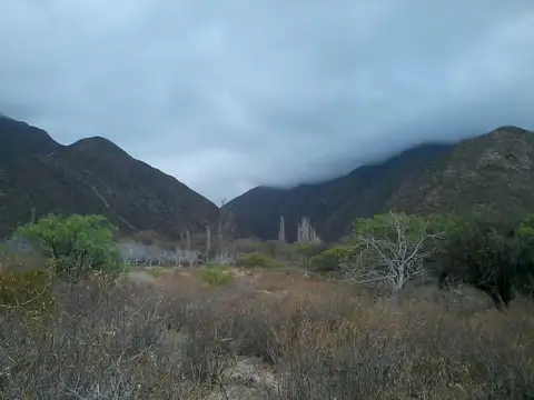 Terreno en Venta en Arauco, La Rioja