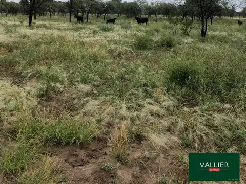 Campo en Venta en Chepes, Rosario Vera Peñaloza