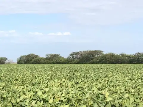 Campo en Venta en Bazan, Capital