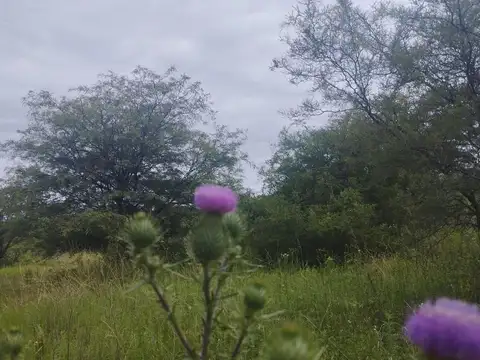 Terreno en Venta en Córdoba, Capital