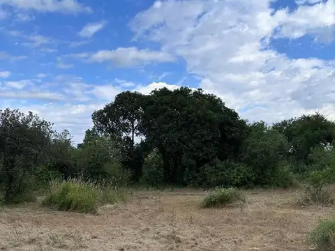 Terreno en Venta en Villa de las Rosas, San Javier