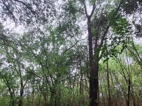 Terreno en Venta en Valle Hermoso, Punilla