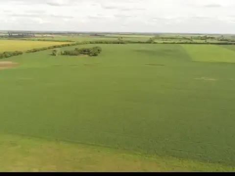 Campo en Venta en Maria Luisa, Las Colonias