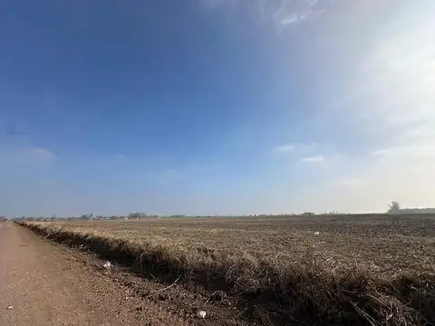 Campo en Venta en Roldan, San Lorenzo