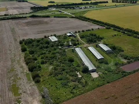 Campo en Venta en Fighiera, Rosario