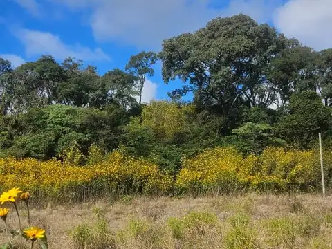 Terreno en Venta en Los Alisos, San Antonio