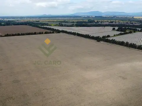 Campo en Venta en El Carmen, Jujuy