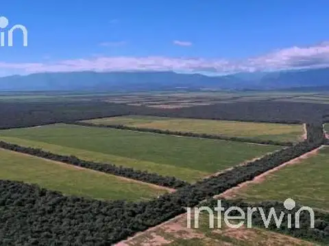 Campo en Venta en El Acheral, San Pedro