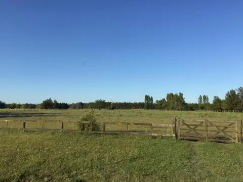 Campo en Venta en Londres, Belén